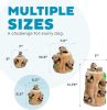 Hound Hide A Squirrel Plush Dog Toy Puzzle, Medium - Squirrel