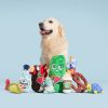 Big Dill Bill Pickle Dog Toy - Green - Green